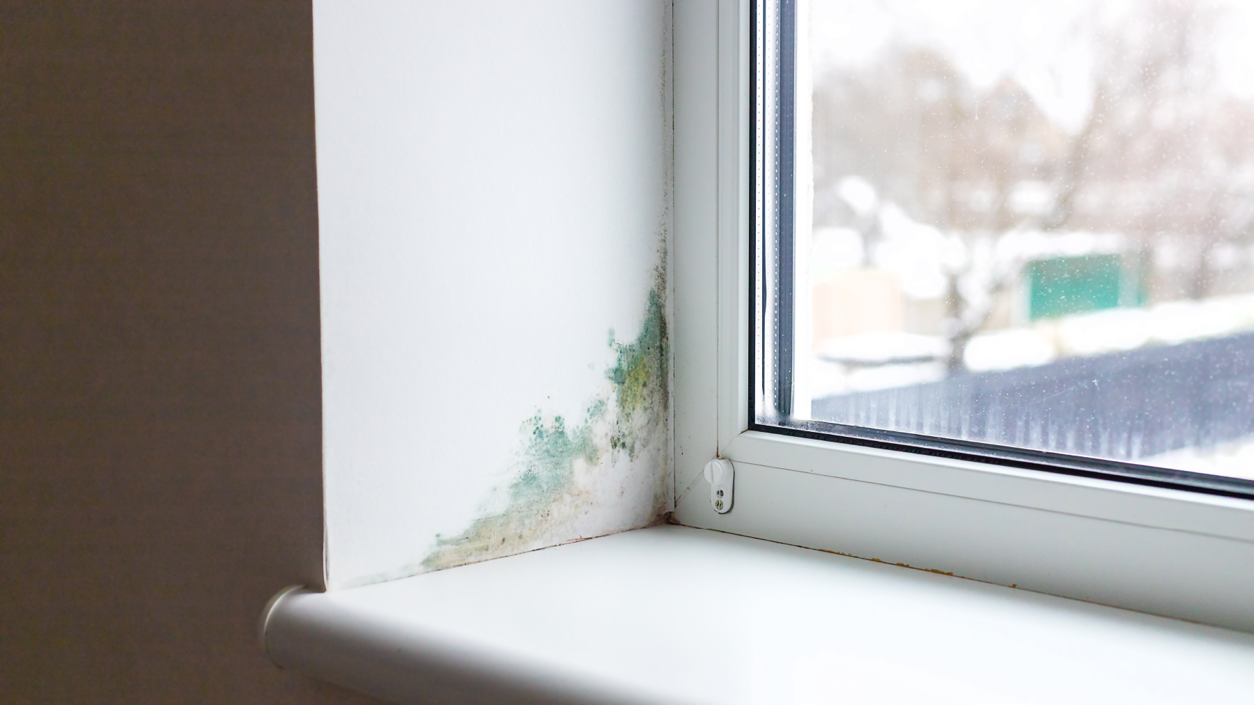 Rutubet nasıl önlenir?