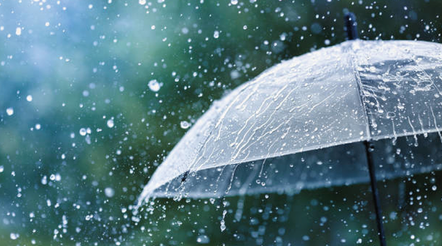 İnsan ruhunu yenileyen rahmet: Yağmur