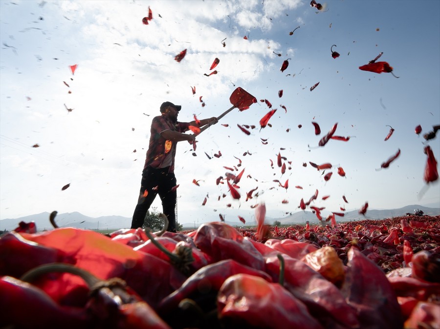 Gaziantep’te pul biber hazırlığı 