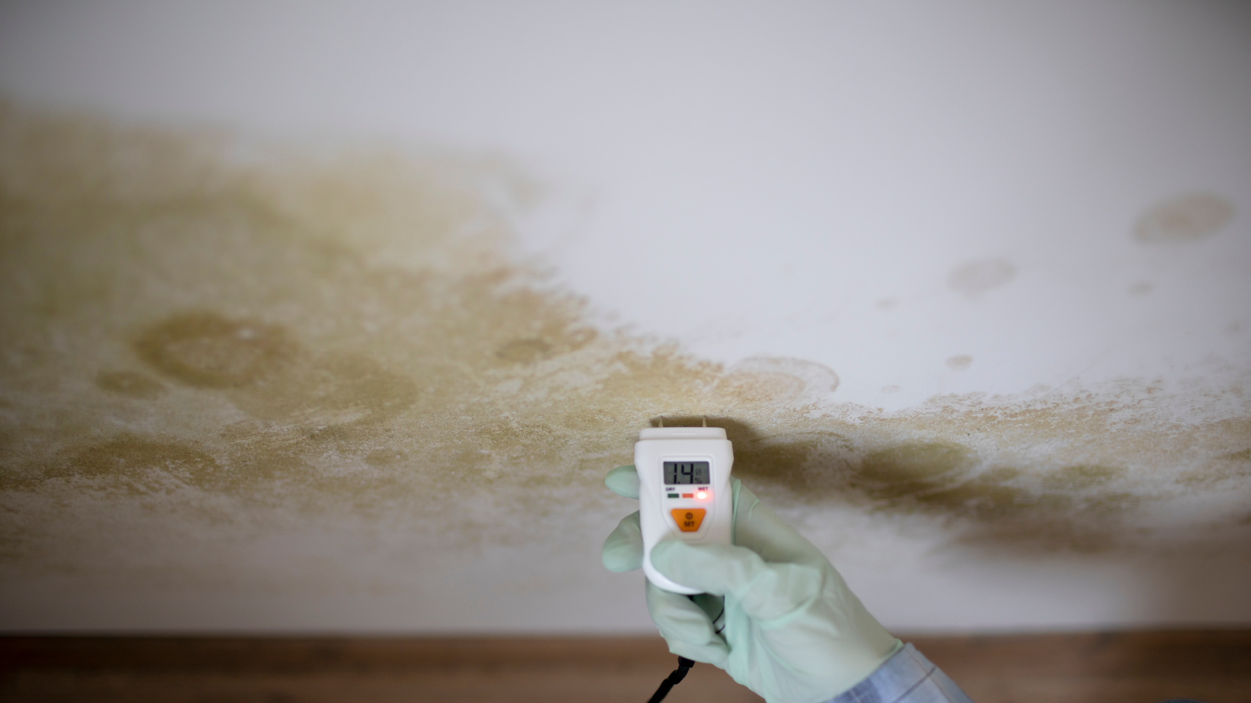 Rutubet lekeleri nasıl giderilir?