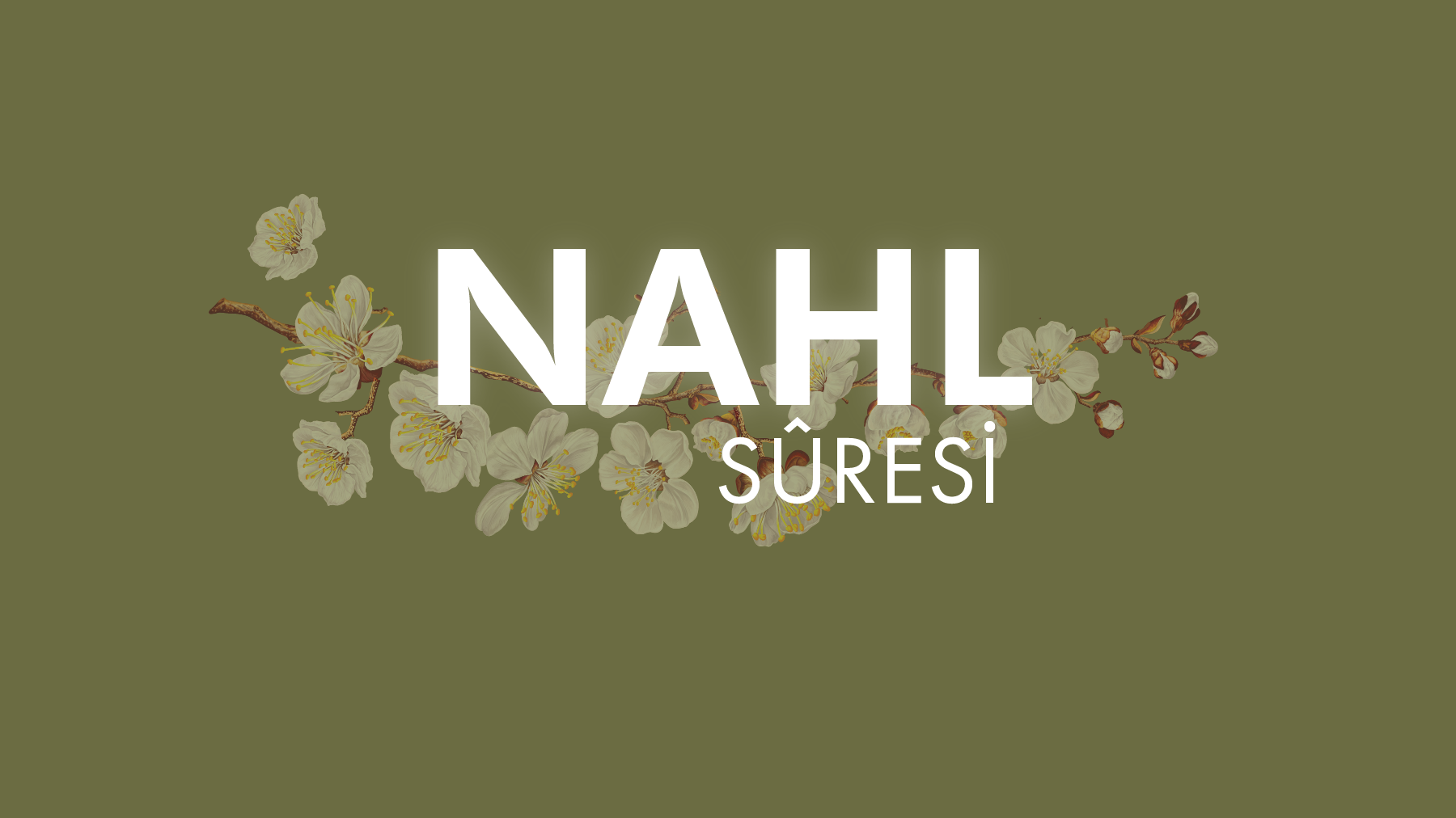 İbretlerle dolu sûre, Nahl