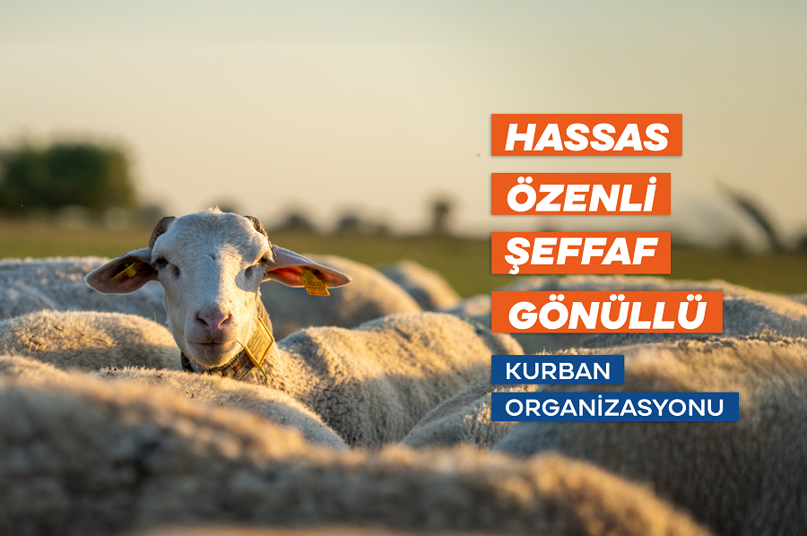 DUHA, Adak Akika Sadaka Kurban Vekalet Alımına Başladı