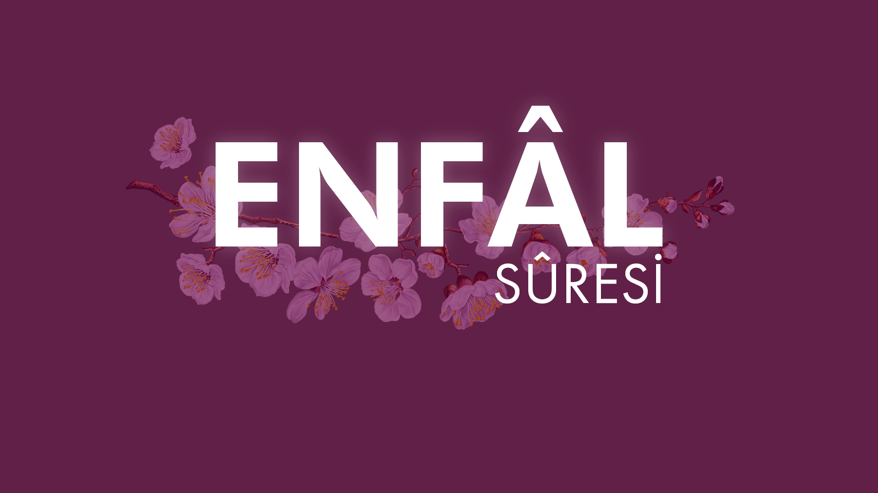Enfâl Sûresinde geçen konular