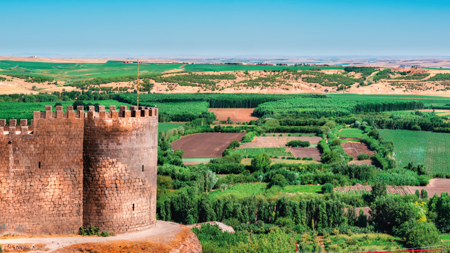 ­Hevsel Bahçeleri'nin biyoçeşitliliği kayıt altına alınıyor