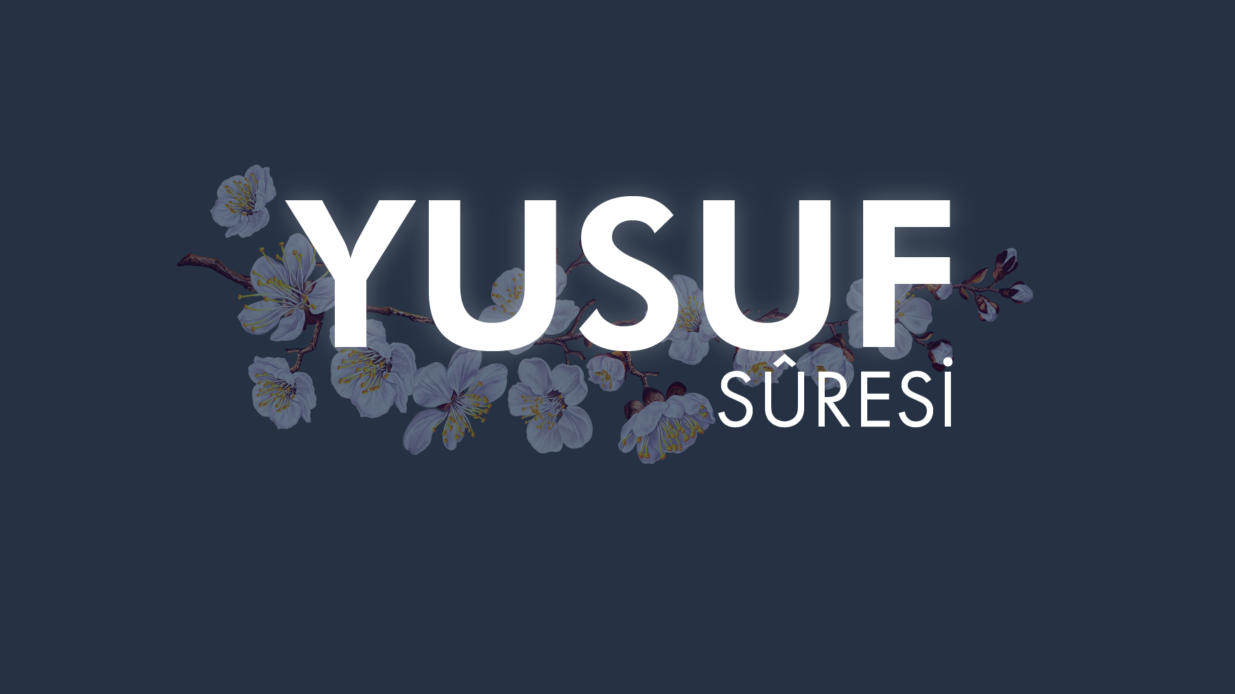 Kıssaların en güzelini anlatan sure, Yusuf