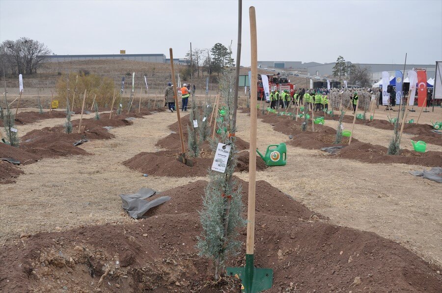 İstanbul da binlerce fidan toprakla buluşuyor
