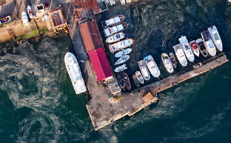 Marmara balıkçıları müsilajdan yoğun etkilendi