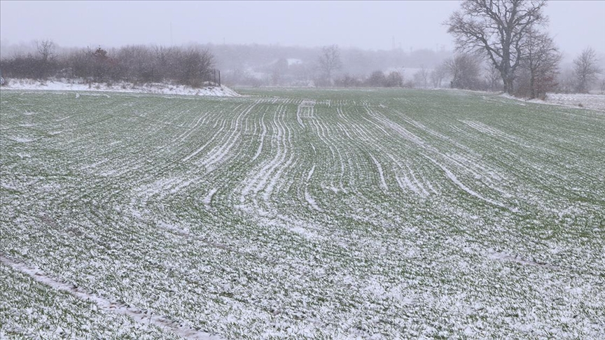 Edirne de kar buğday üreticilerini sevindirdi