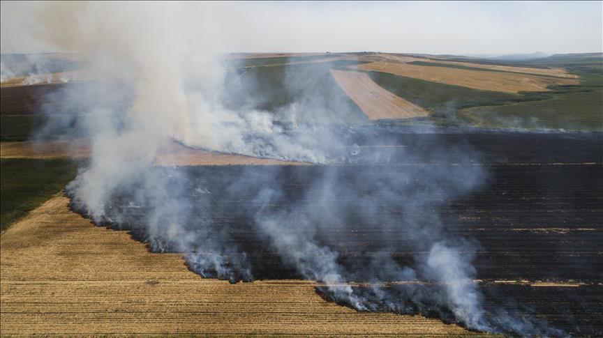 Anız yakılması toprak ekosistemini bozuyor