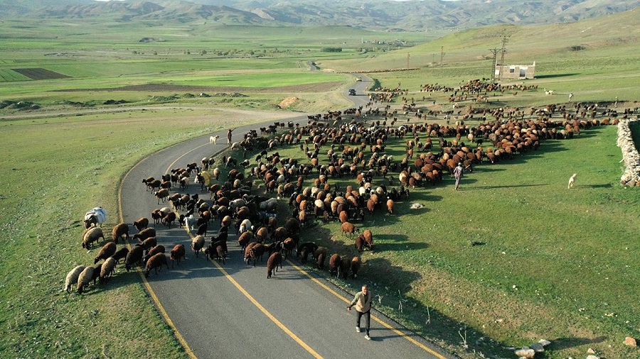 Göçerlerin zorlu yayla yolculuğu başladı