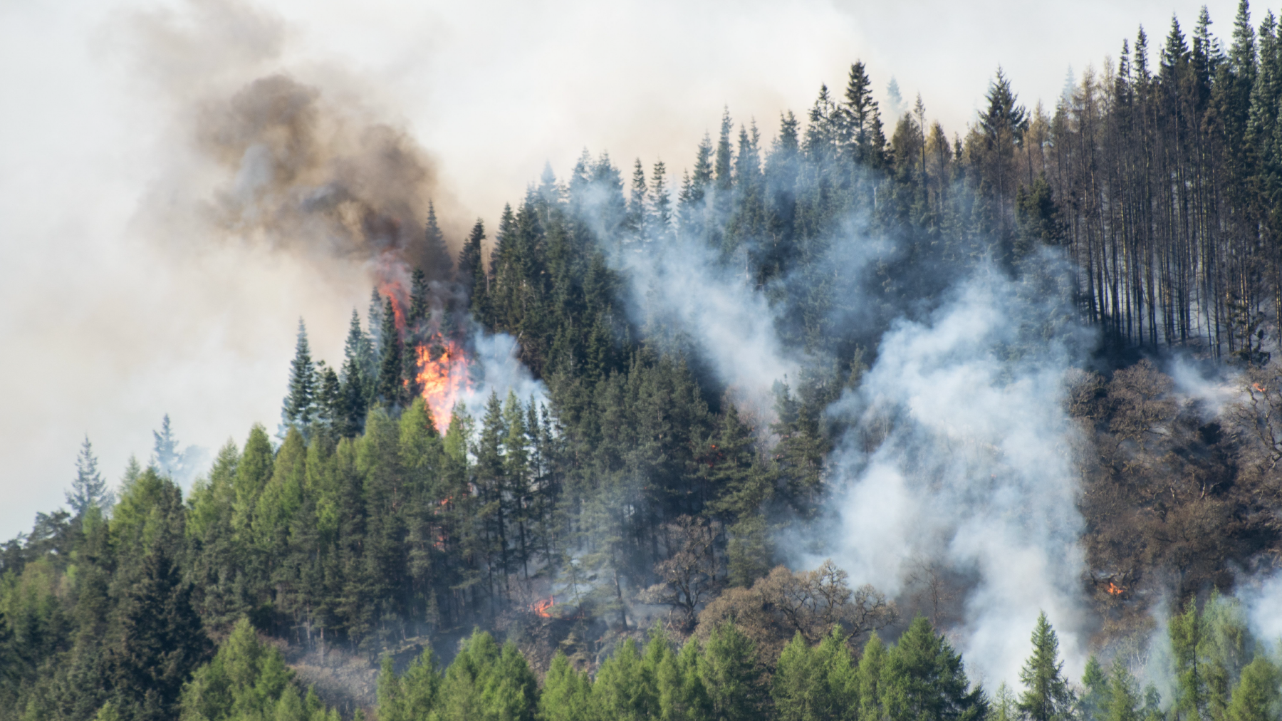 Bir saatlik mangal keyfi için ciğerlerimizi yakmayın