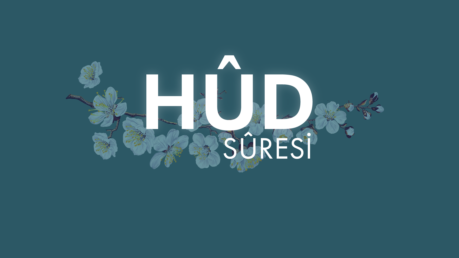 Peygamber Efendimizin saçlarını ağartan sûre, HÛD 