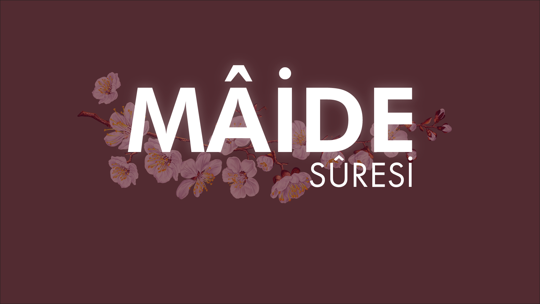 Mâide Sûresi nde hangi konuları bulabiliriz?