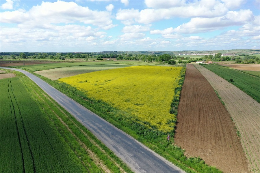 Trakya'da etkili olan yağışlar kuraklık stresini azalttı