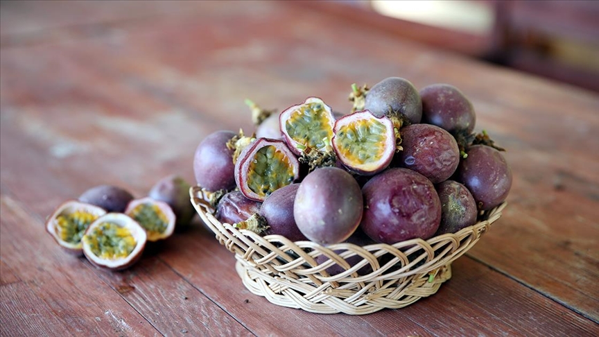 Tropik meyve ihracatında sürpriz artış