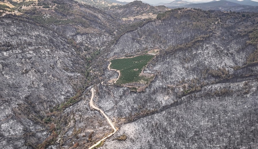 ÇEKUD’den yanan alanları yeniden yeşertme çağrısı