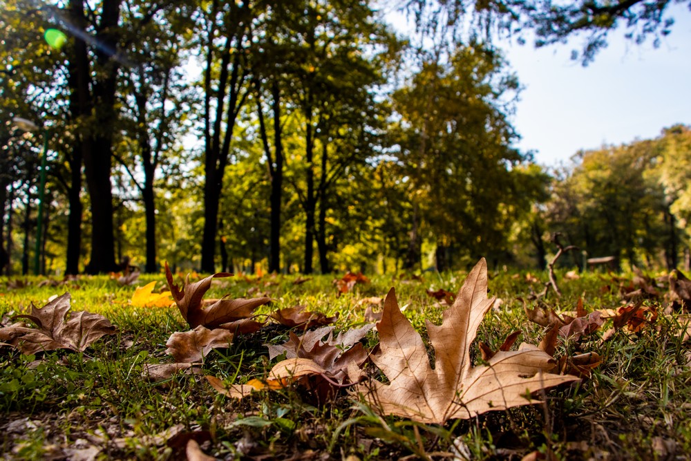 Mevsim geçişlerinde B12 içeren besinler önemli