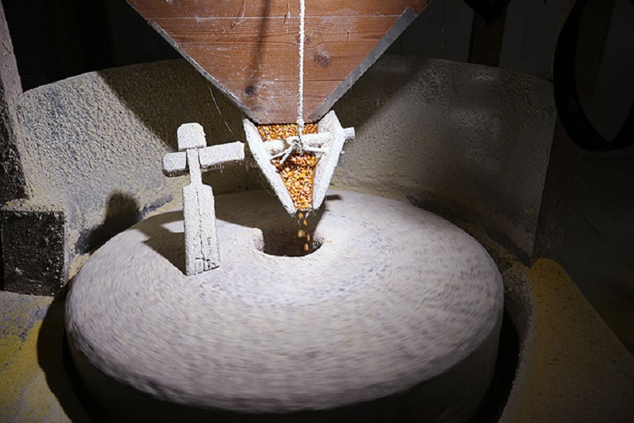 Tarladan sofraya mısır unu mesaisi