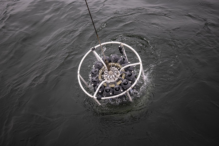 Marmara Denizi nde oksijen azalıyor