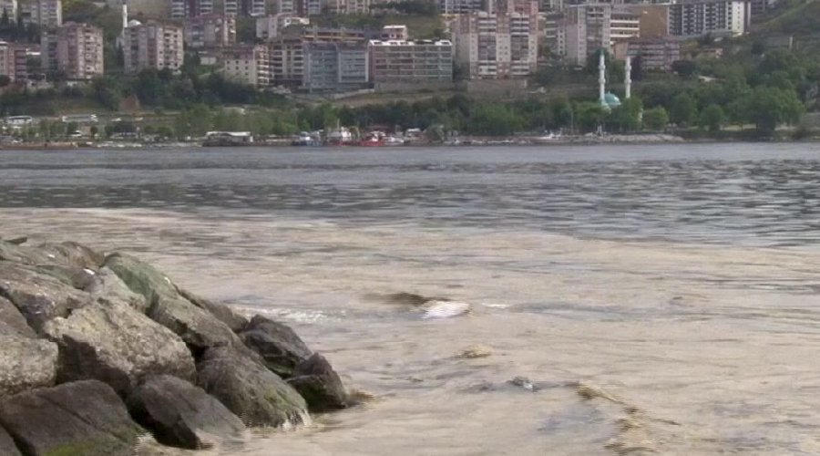 Müsilaj Gemlik e de sıçradı