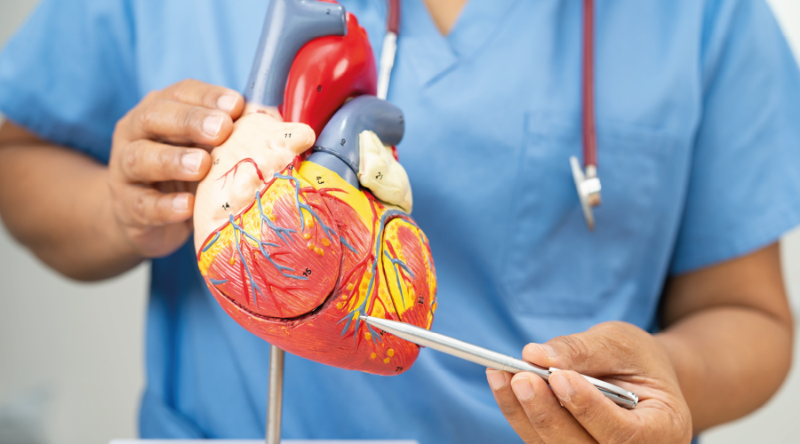 Gürültü kirliliği kalp ve damar sağlığını tehdit ediyor